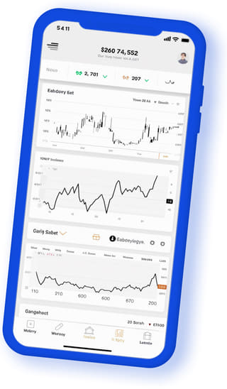 Accruwell Capital digital web application on mobile device